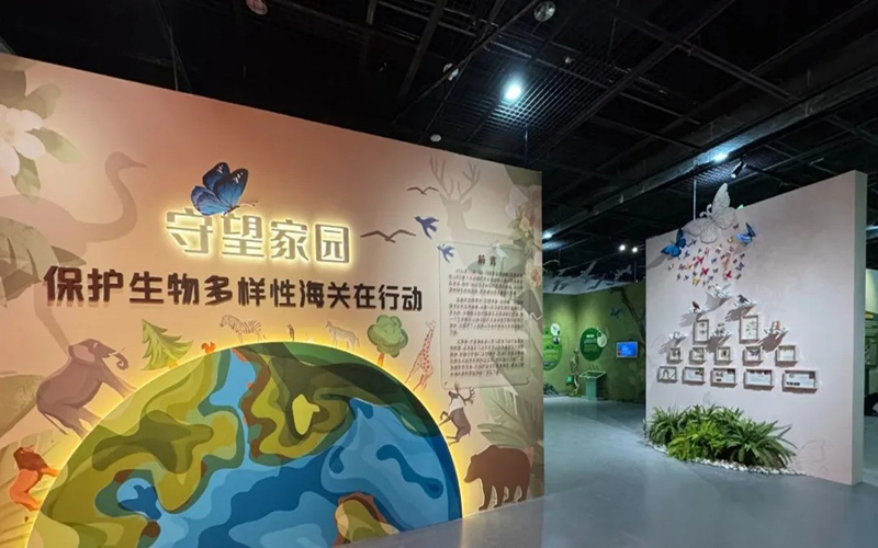 探秘“守望家園”虛擬展廳：海關(guān)守護(hù)生物多樣性